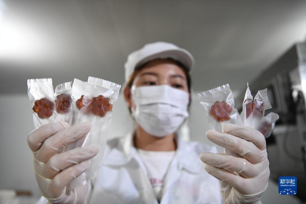 可以申请跳槽金论坛